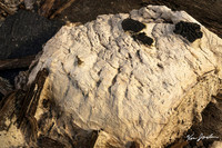 Z62_2161 Pile Of Wet Paper Iron Horse Park Billerica