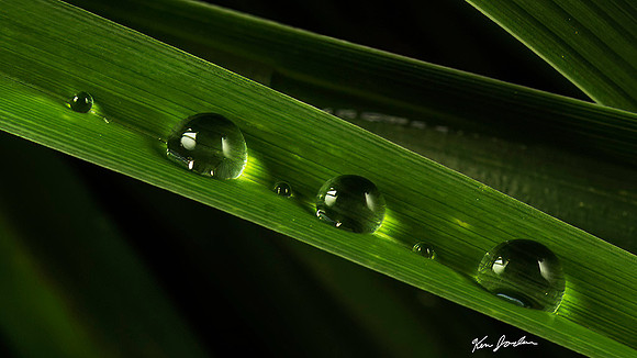 750_9046 Three Water Drops