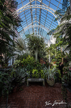 29 Z62_8551 Inside The Green House