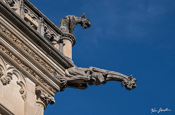 35 Z62_8611 Roof Top  Gargoyles