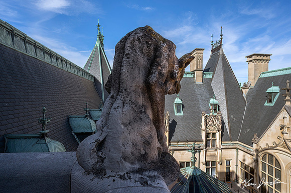 36 Z62_8643 Gargoyle Watching House