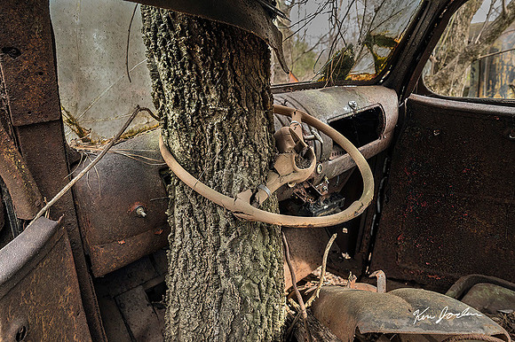 Z62_9099 Tree In Steraing Wheel