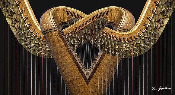 DSC_8008 Loving Harps