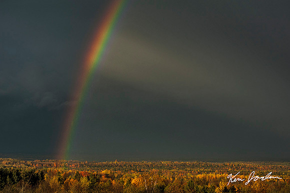 Rainbow RT 11 Maine
