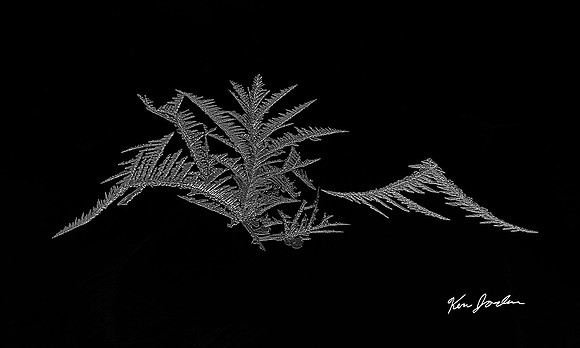Frost On The Window Lynn