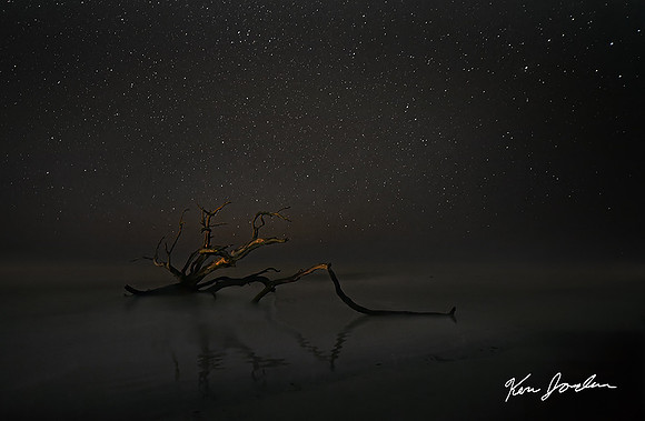 Tree Branch in the Stars Jekyll Island Georgia