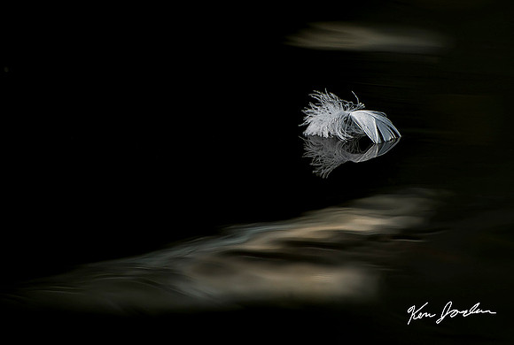 Floating Feather
