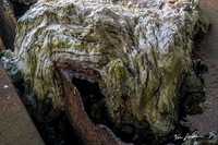 Z62_2127 Wet Paper On A File Cabinet Iron Horse Park Billerica