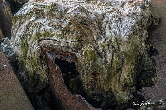 Z62_2127 Wet Paper On A File Cabinet Iron Horse Park Billerica