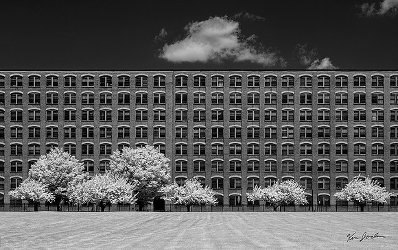 DSC_8797 The Vamp Building Lynn