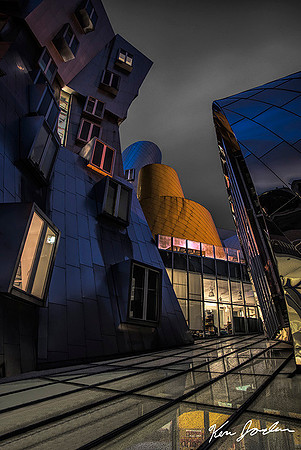 The Stata Center M.I.T.