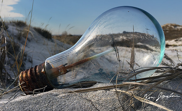 Bulb On The Beach
