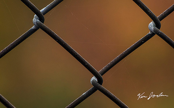 Fall Fence