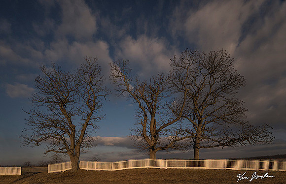 Three Trees And A Fence Gettysburg