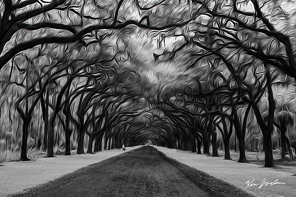 DSC_1098 Wormsloe Trees