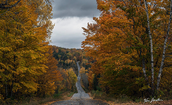 Z62_6037 Fall Road In The Rain Maine