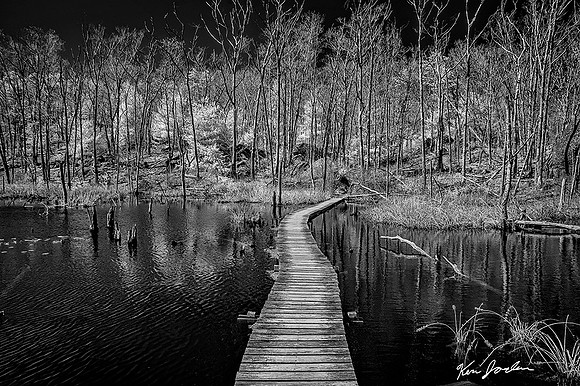 DSC_1430 Gloucester Board Walk