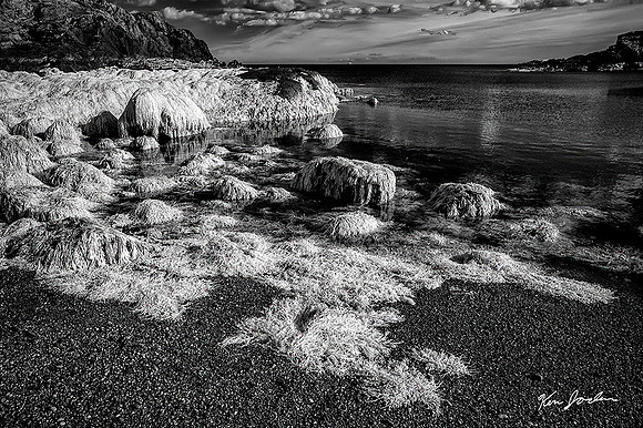 DSC_1041 Low Tide