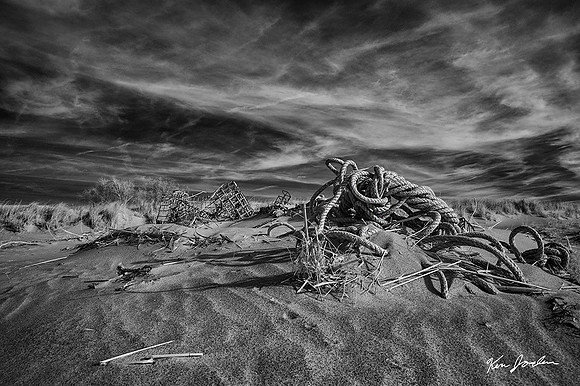 DSC_0845 Washed Up On The Beach